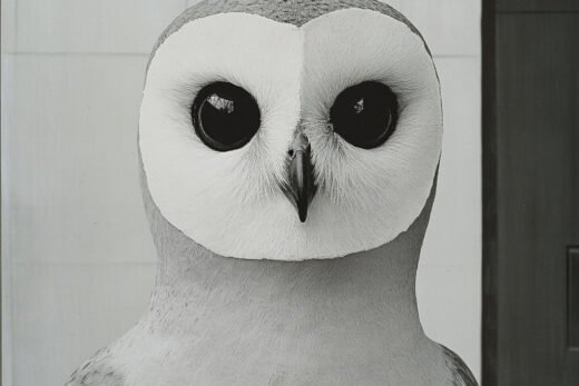 sref 601 | an animal
