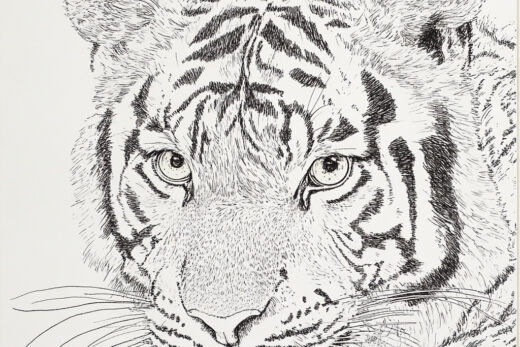 sref 798 | an animal