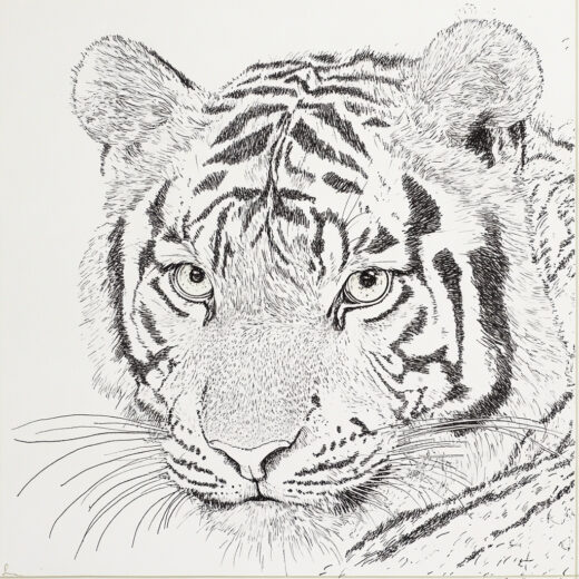 sref 798 | an animal