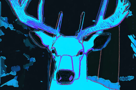 sref 942 | an animal