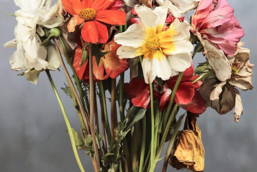 sref 0 | flowers