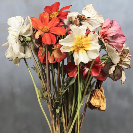 sref 0 | flowers