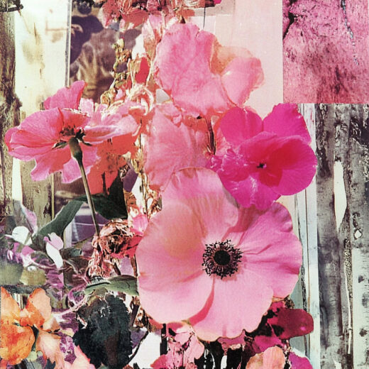 sref 103 | flowers