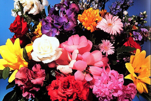 sref 104 | flowers