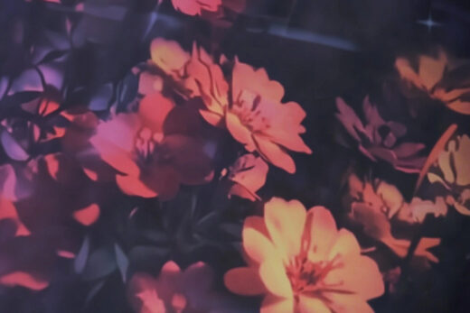 sref 154 | flowers