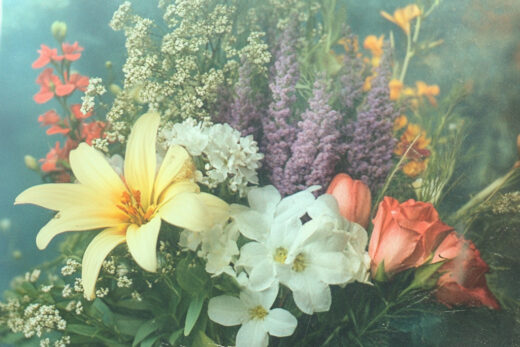 sref 19 | flowers