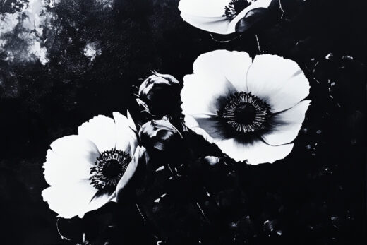 sref 212 | flowers