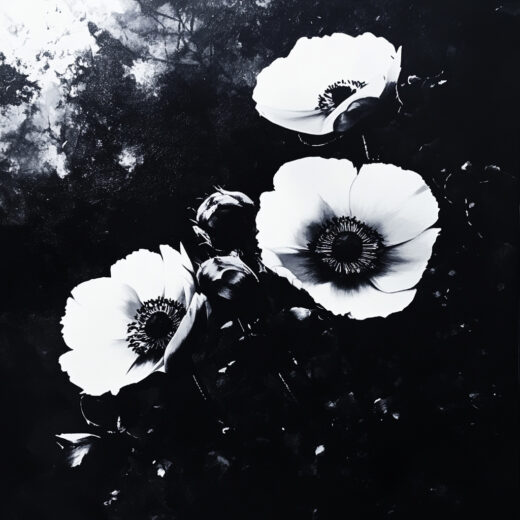 sref 212 | flowers