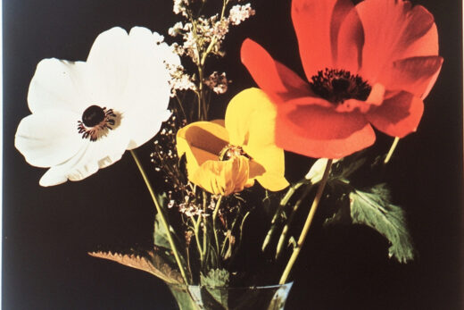 sref 223 | flowers