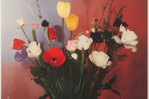 sref 242 | flowers
