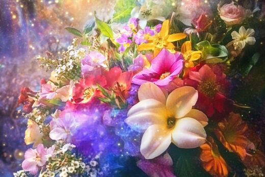 sref 250 | flowers