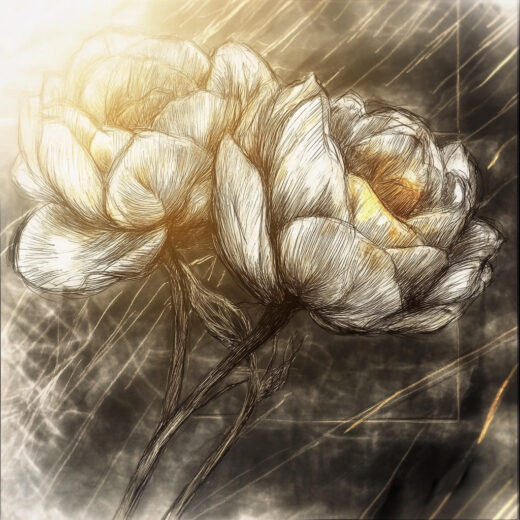 sref 366 | flowers