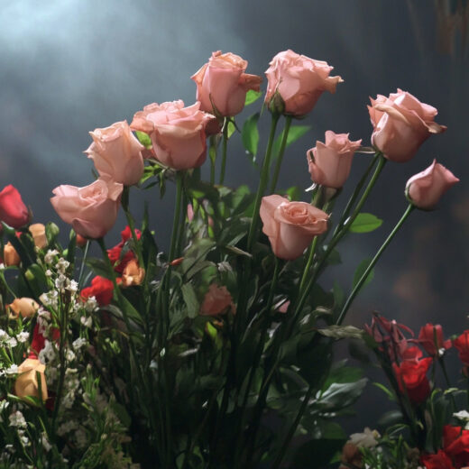 sref 403 | flowers
