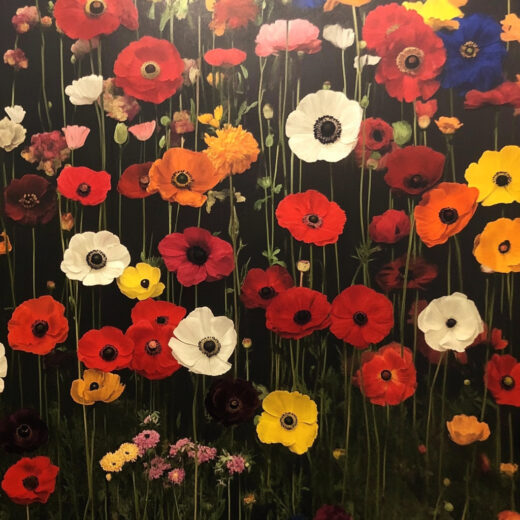 sref 419 | flowers