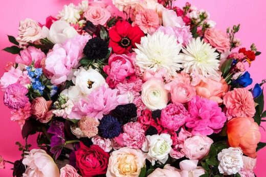 sref 430 | flowers