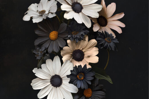 sref 469 | flowers