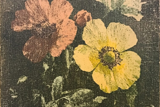 sref 479 | flowers