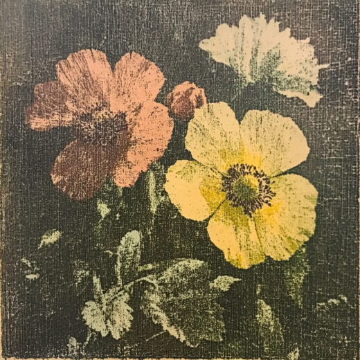 sref 479 | flowers