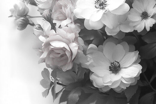 sref 496 | flowers