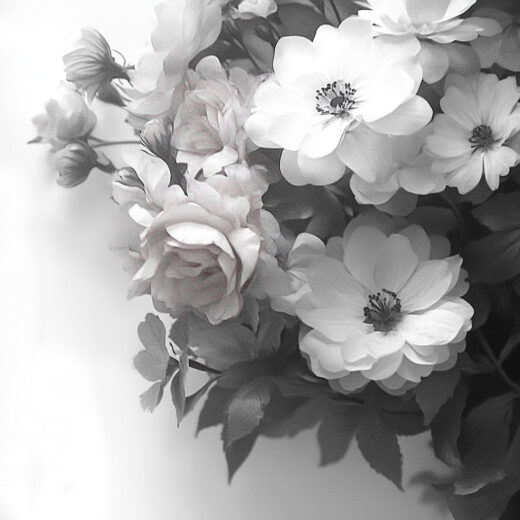 sref 496 | flowers