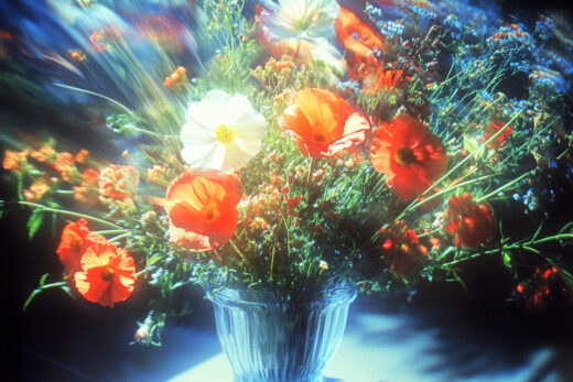 sref 49 | flowers