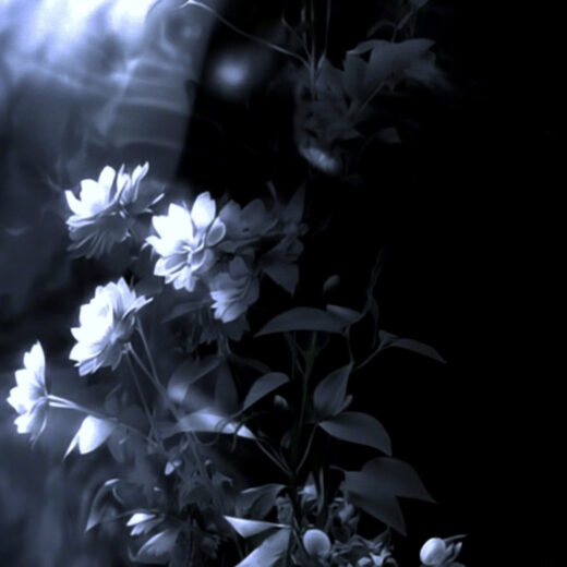 sref 52 | flowers