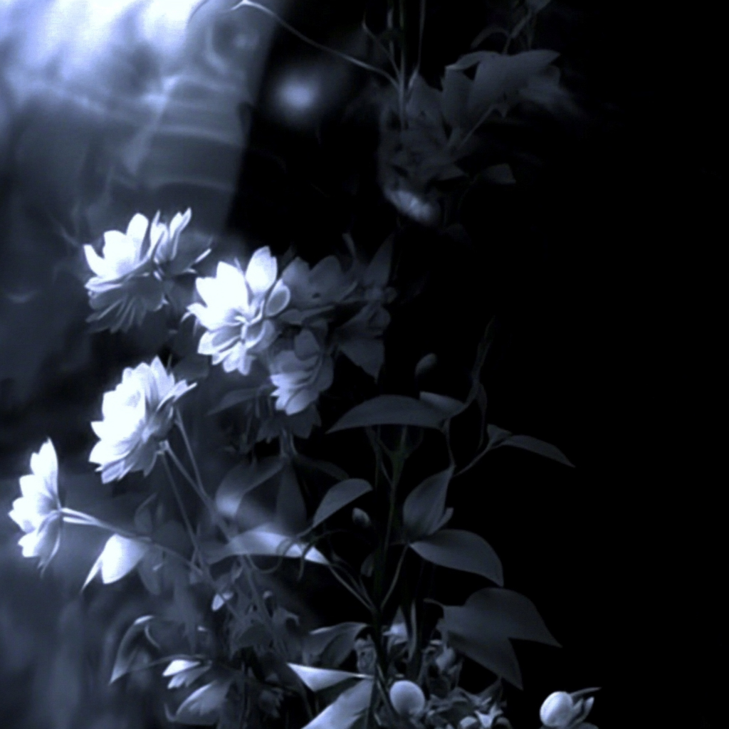 sref 52 | flowers