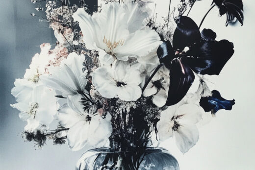 sref 557 | flowers