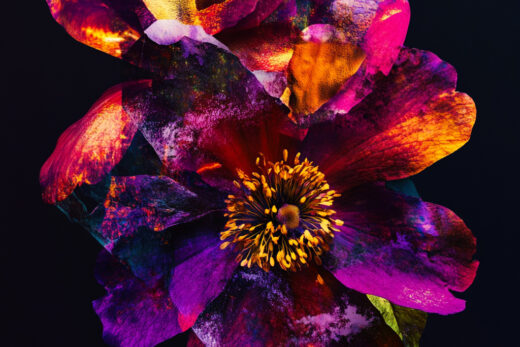 sref 580 | flowers