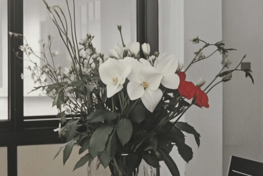 sref 601 | flowers