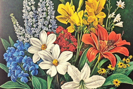 sref 602 | flowers