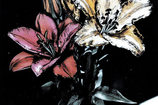sref 613 | flowers