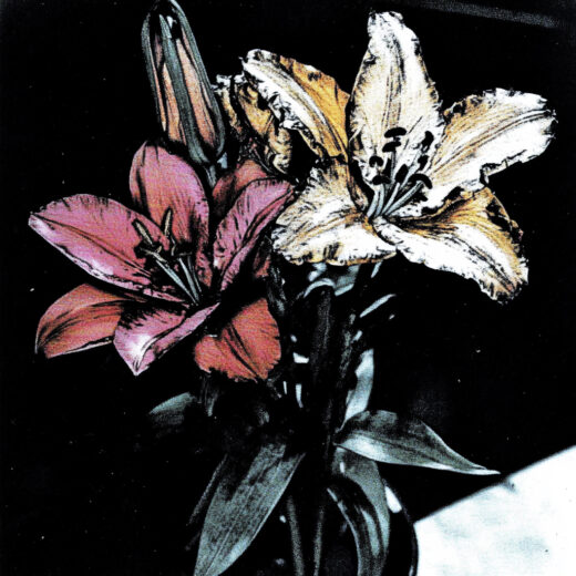 sref 613 | flowers