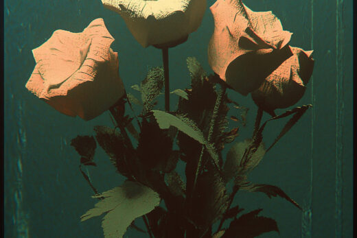 sref 617 | flowers