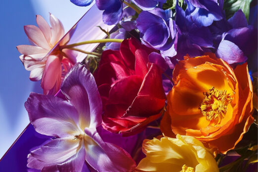 sref 632 | flowers