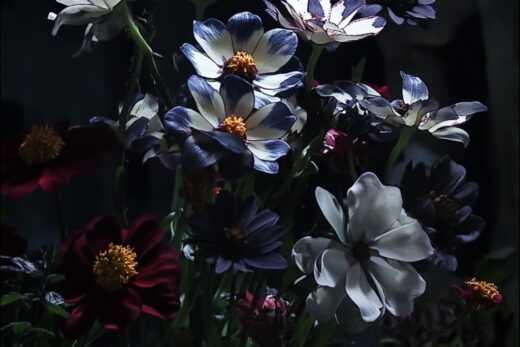sref 669 | flowers