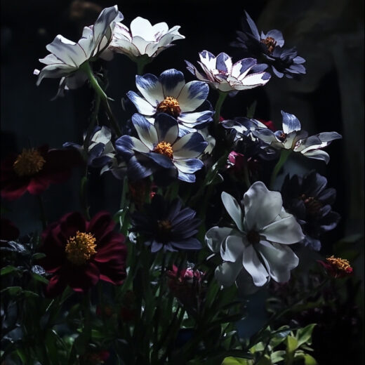sref 669 | flowers