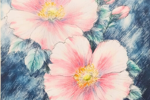 sref 672 | flowers