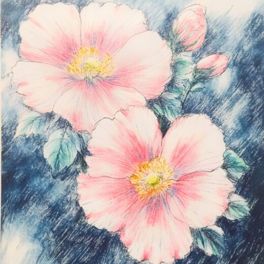 sref 672 | flowers