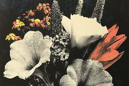 sref 673 | flowers