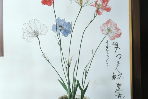sref 691 | flowers