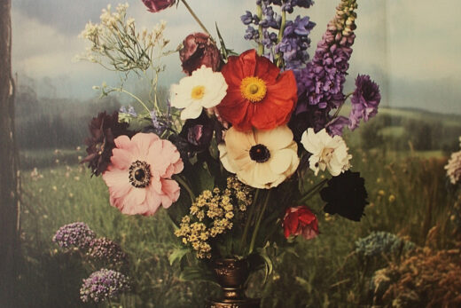 sref 724 | flowers