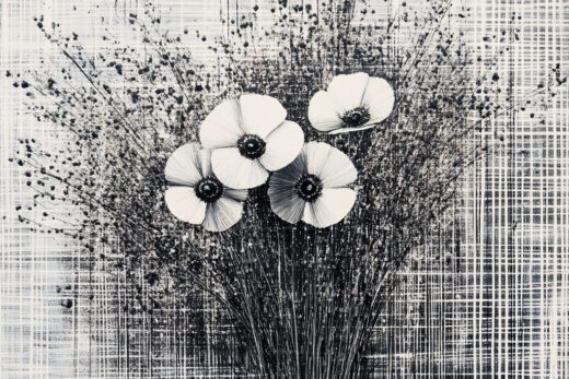 sref 770 | flowers