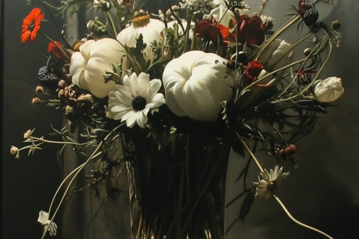 sref 808 | flowers
