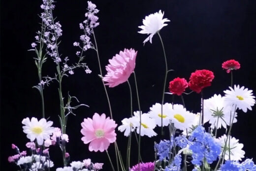 sref 812 | flowers
