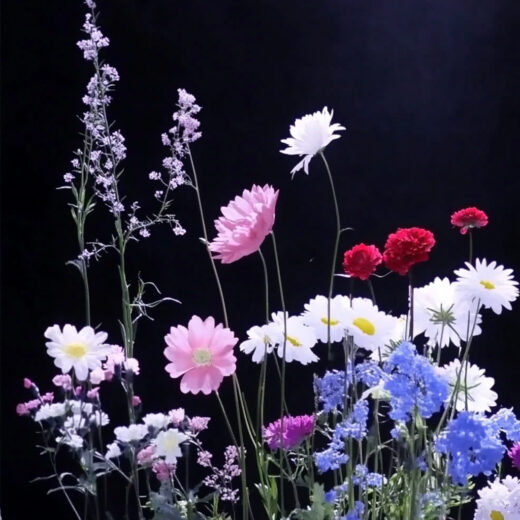 sref 812 | flowers
