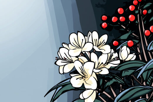 sref 869 | flowers
