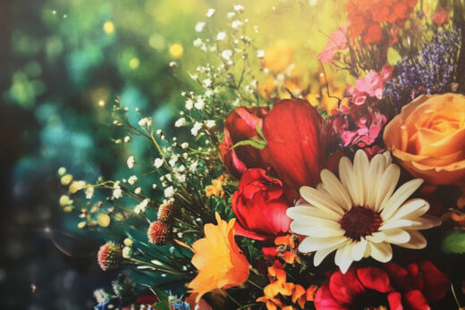 sref 870 | flowers