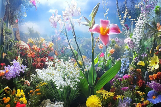 sref 886 | flowers