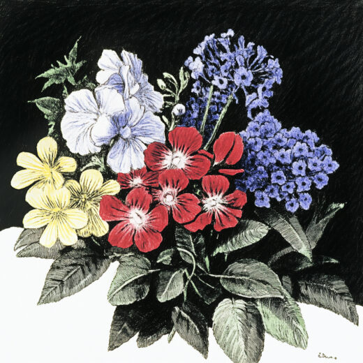 sref 901 | flowers